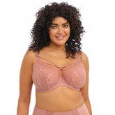 Elomi Brianna UW Plunge Bra - Ash Rose